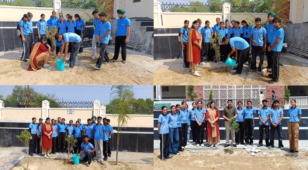 NCC Tree Plantation Drive at Professor Simmi Agnihotri Government College Haroli